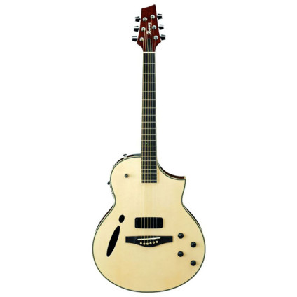 قیمت خرید فروش گیتار الکترو آکوستیک Ibanez MSC 380NT